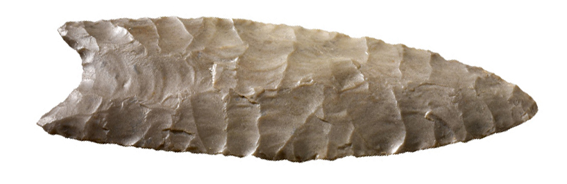Clovis Point